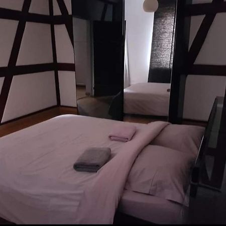 Spacious Appartement Colmar 2 エクステリア 写真